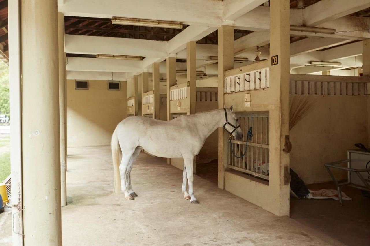Terengganu Equestrian Resort Kuala Terengganu Esterno foto
