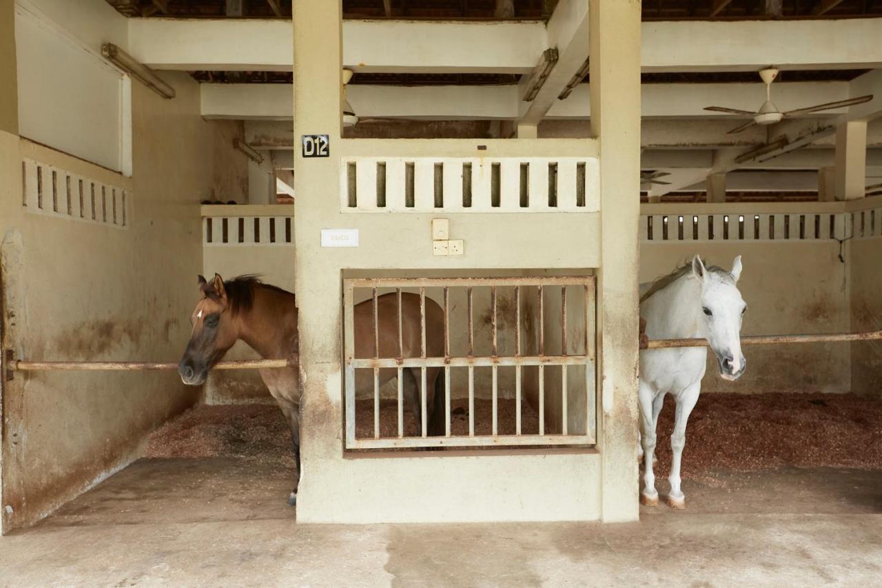 Terengganu Equestrian Resort Kuala Terengganu Esterno foto
