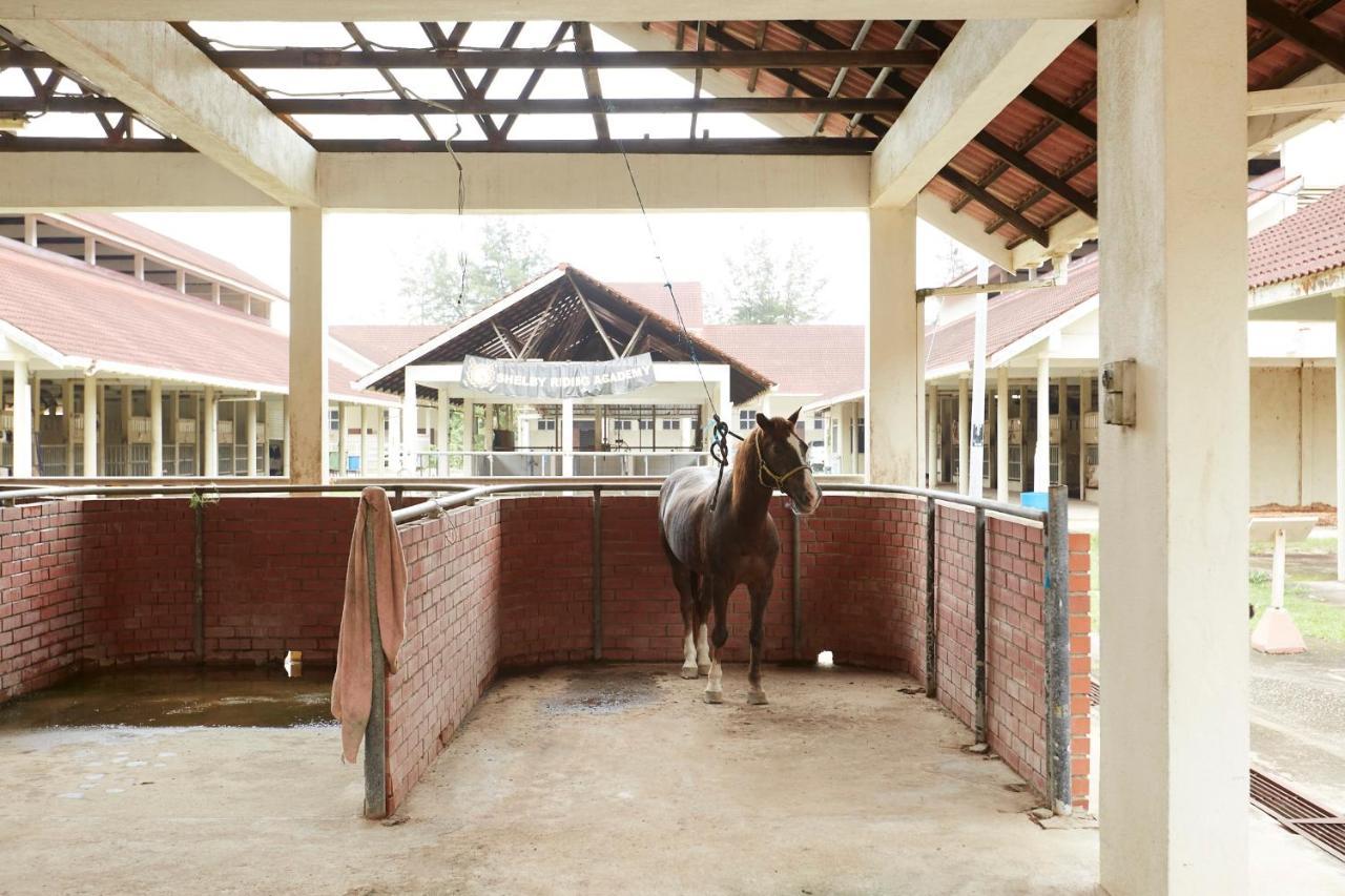 Terengganu Equestrian Resort Kuala Terengganu Esterno foto