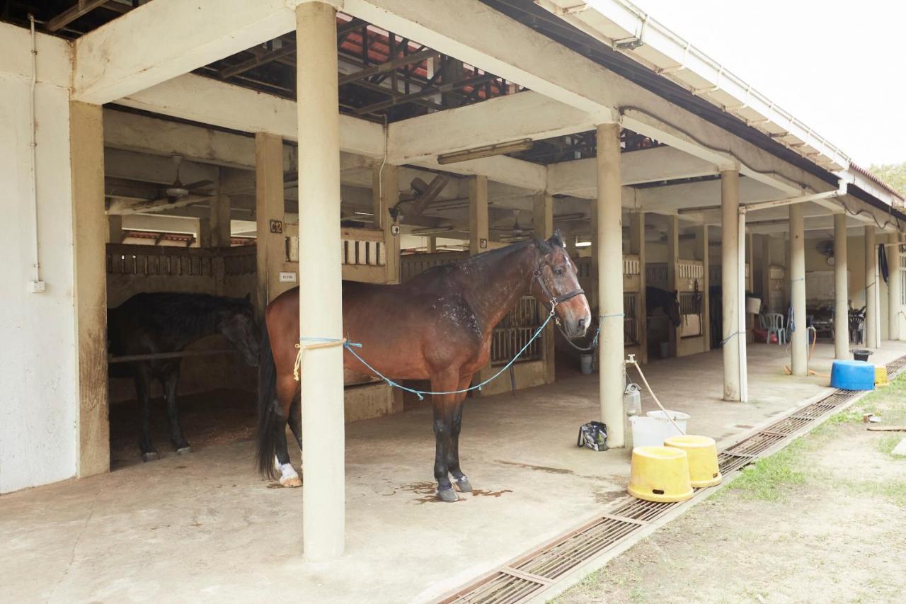 Terengganu Equestrian Resort Kuala Terengganu Esterno foto