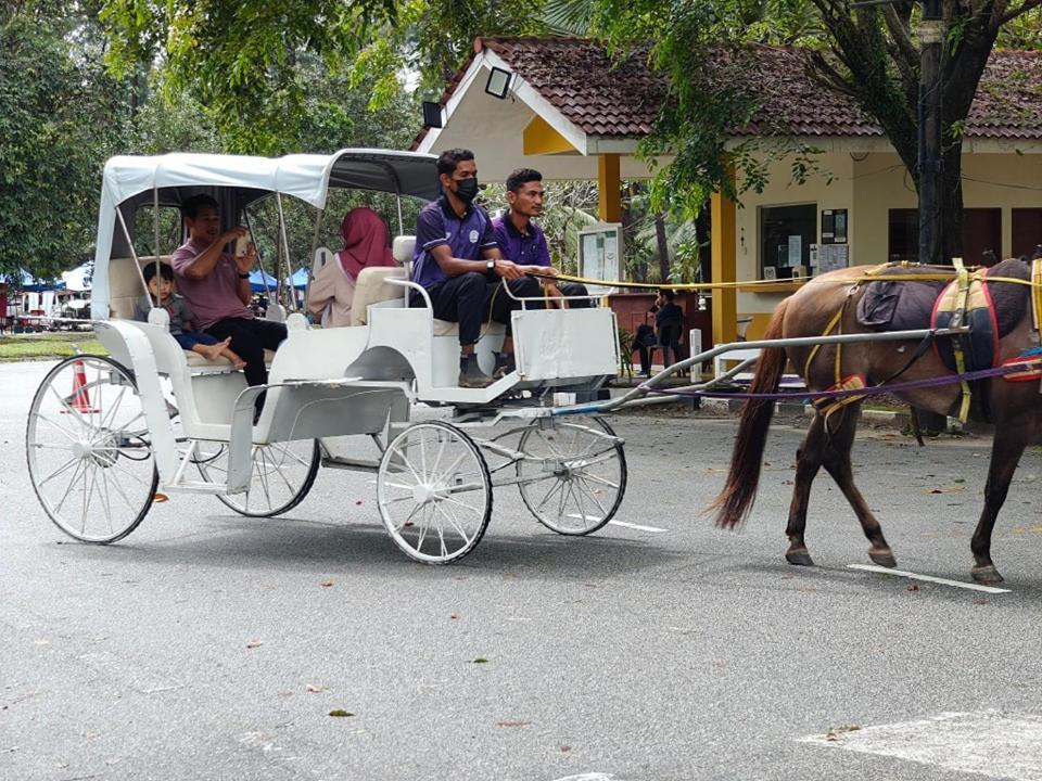 Terengganu Equestrian Resort Kuala Terengganu Esterno foto